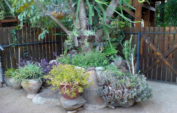 בקתות עדי - ������ �קרית שמונה - ������ ����